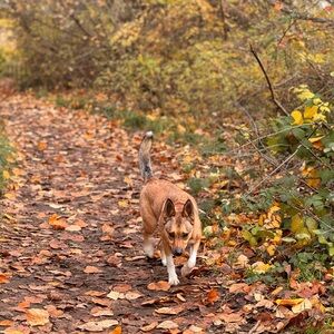 Meet your Posher, Iulia